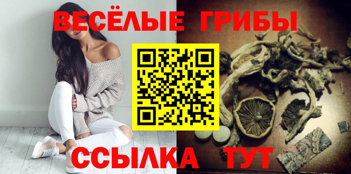 где купить   Галлюциногенные грибы прущие грибы  Вход с VPN  Карталы 